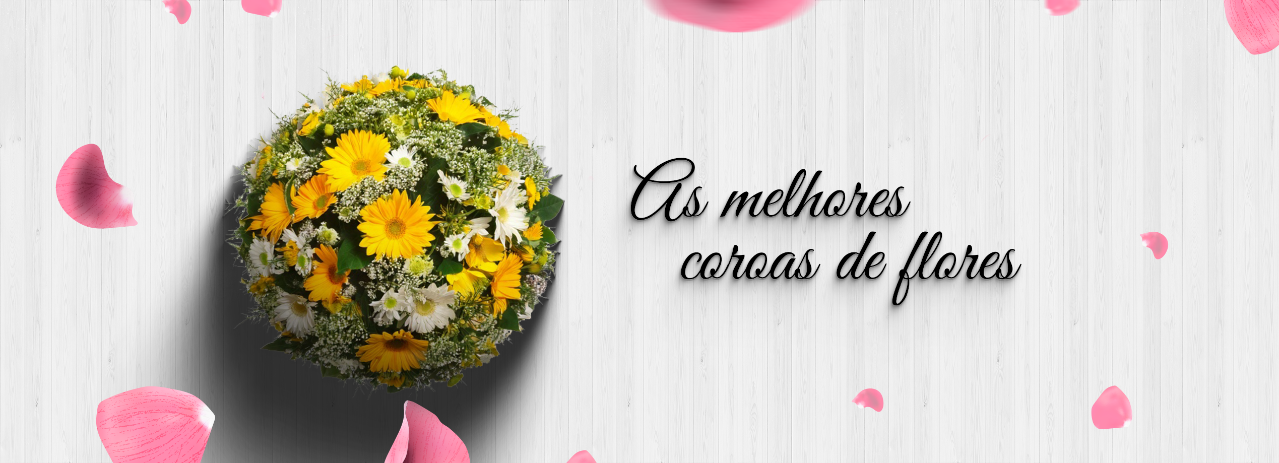 banner site